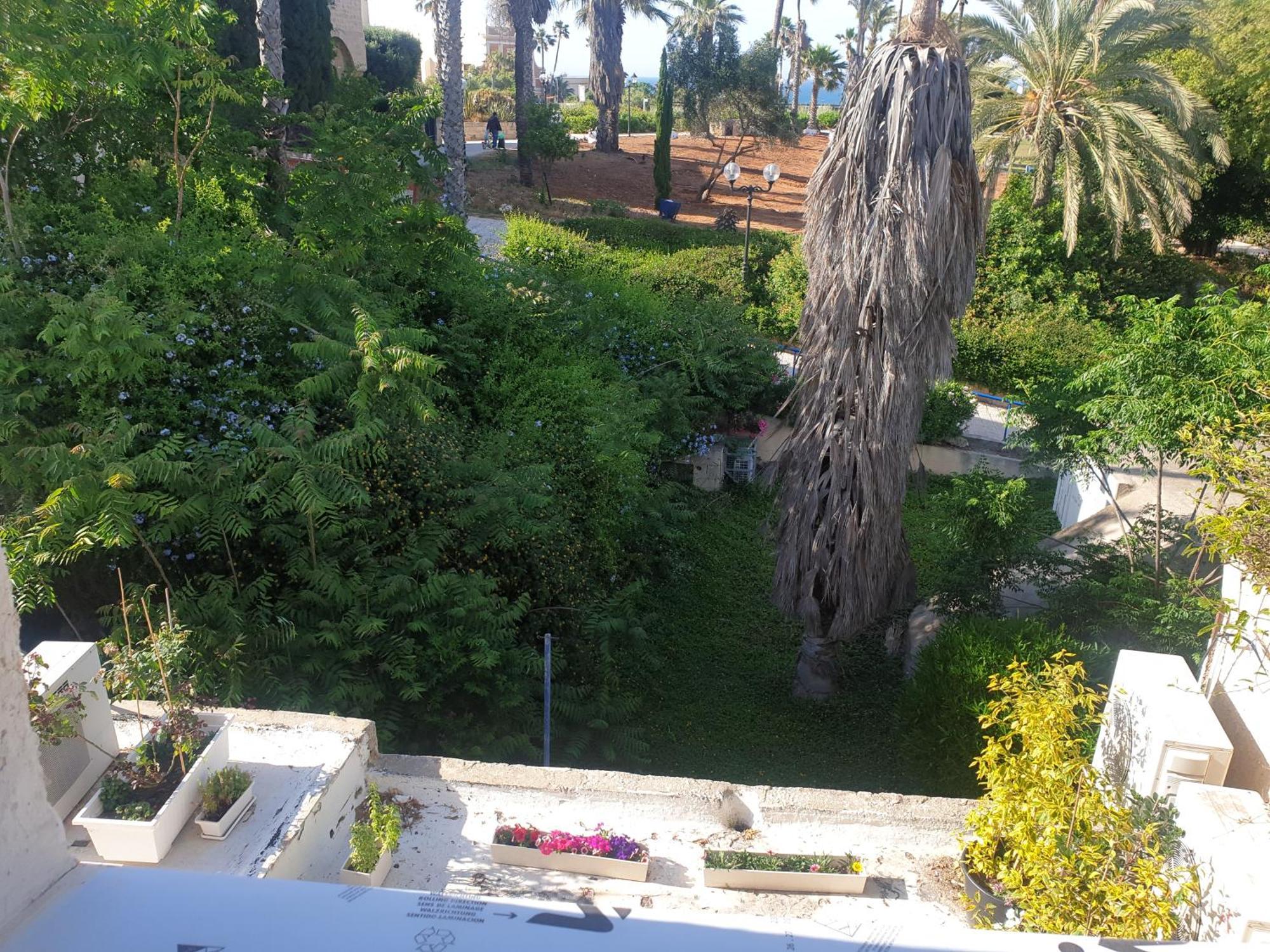 Luxury Studio At The Heart Of Old Jaffa เทลอาวีฟ ภายนอก รูปภาพ